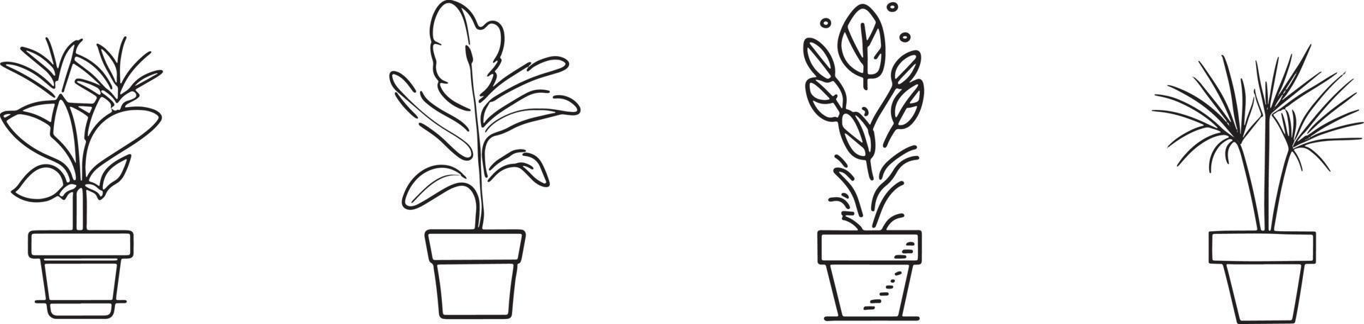 minimalista coleção do desenhado à mão planta doméstica panelas dentro plano Projeto vetor