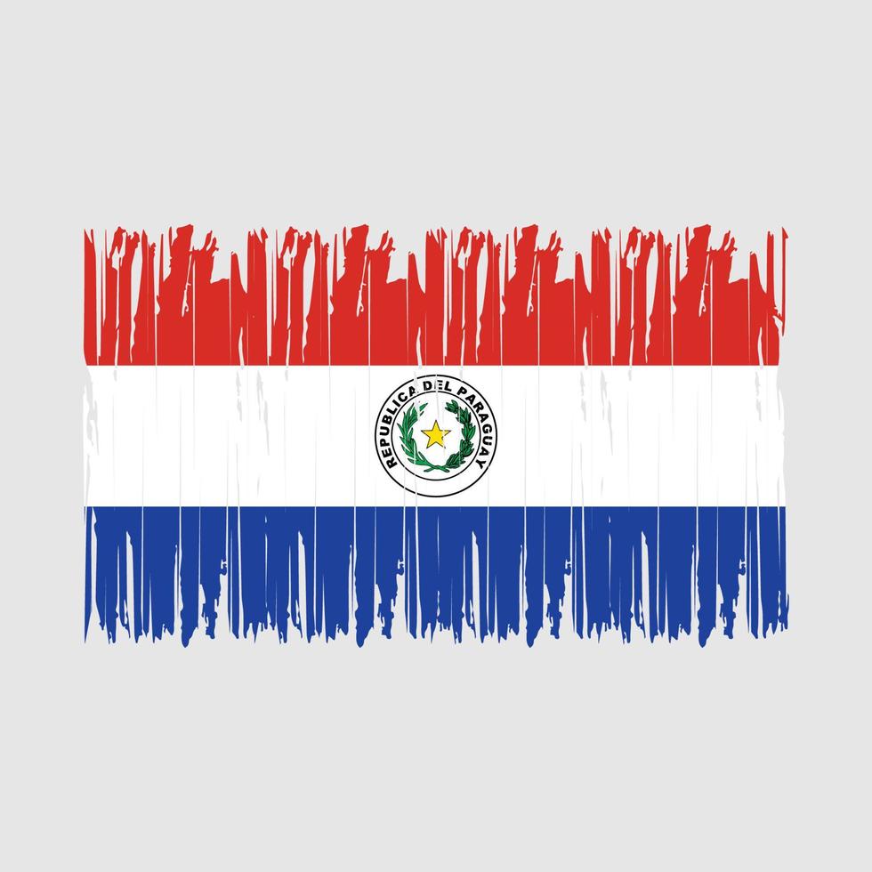 escova de bandeira do paraguai vetor