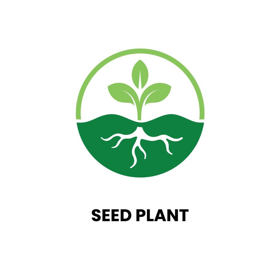 vetor plantar semente logotipo Projeto vetor ilustração