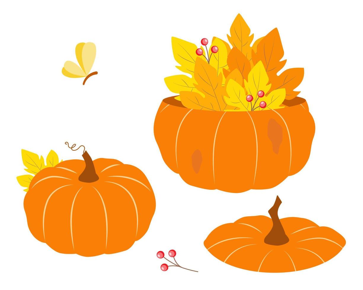 abóbora com folhas. outono elementos definir. bagas, amarelo e laranja folha, borboleta. vetor ilustração do sazonal vegetal.