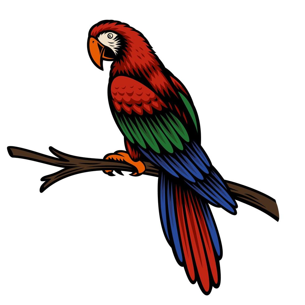 uma ilustração vetorial colorida de um papagaio ara vetor
