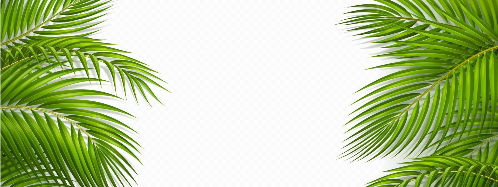 tropical quadro, Armação com verde Palma folhas vetor