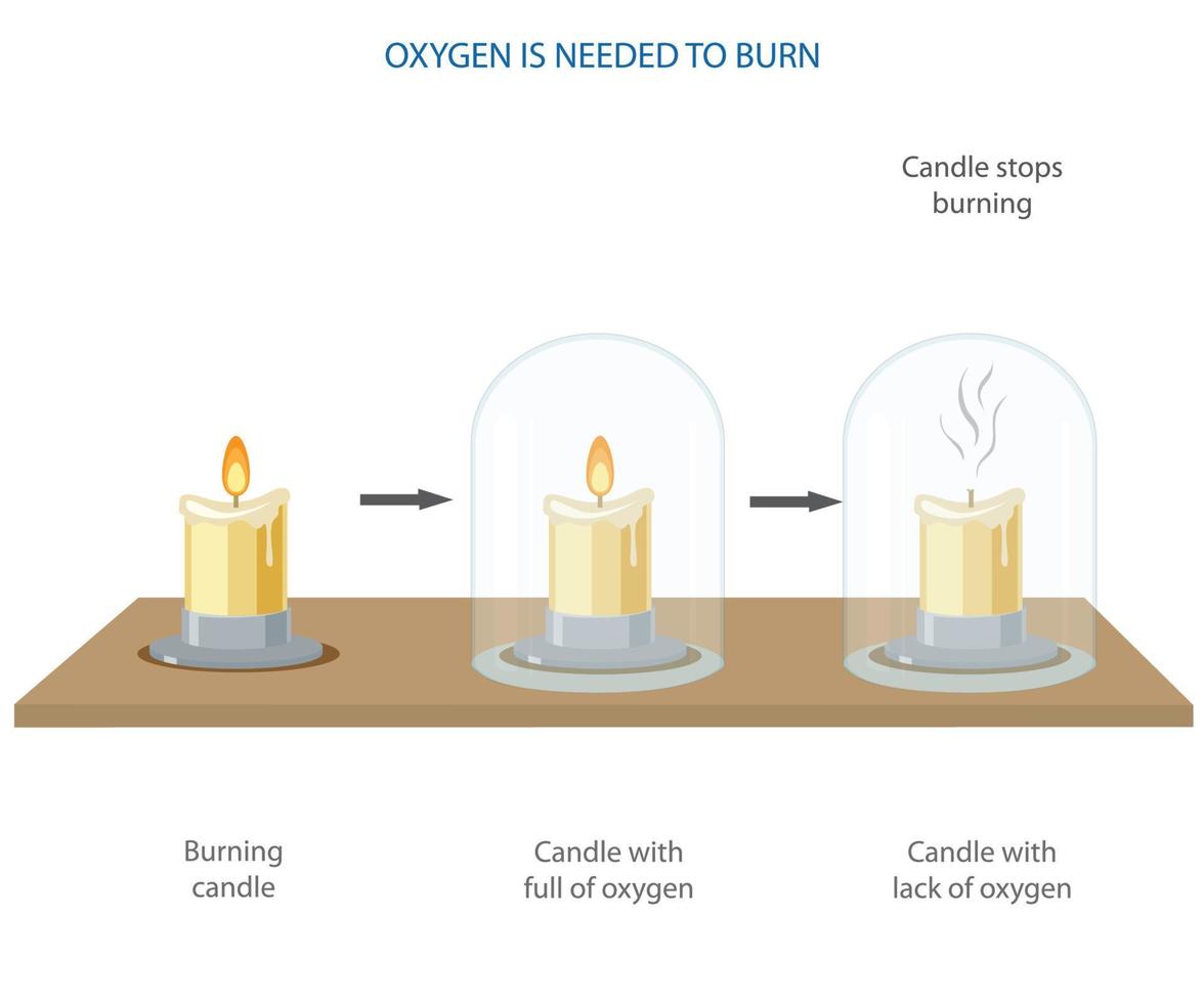 oxigênio é necessário para queimando uma vela vetor ilustração