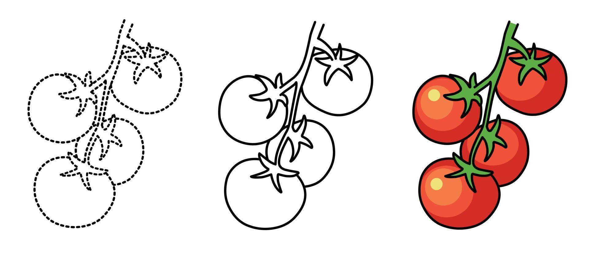 vegetal e tomate coloração página para crianças vetor