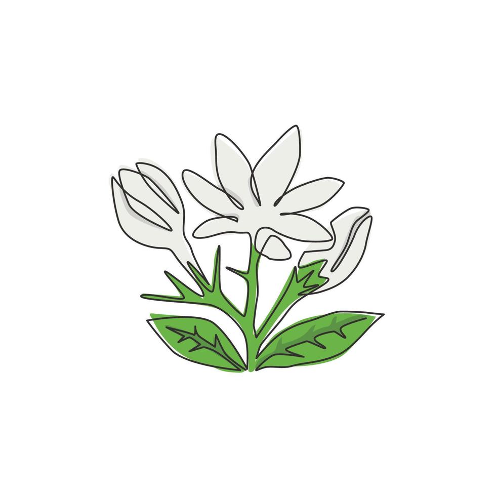 um único desenho de linha de flor de jasmim verde fresca de beleza para o logotipo do jardim. jasminum de pôster decorativo imprimível para decoração de arte de parede em casa. ilustração em vetor desenho moderno linha contínua