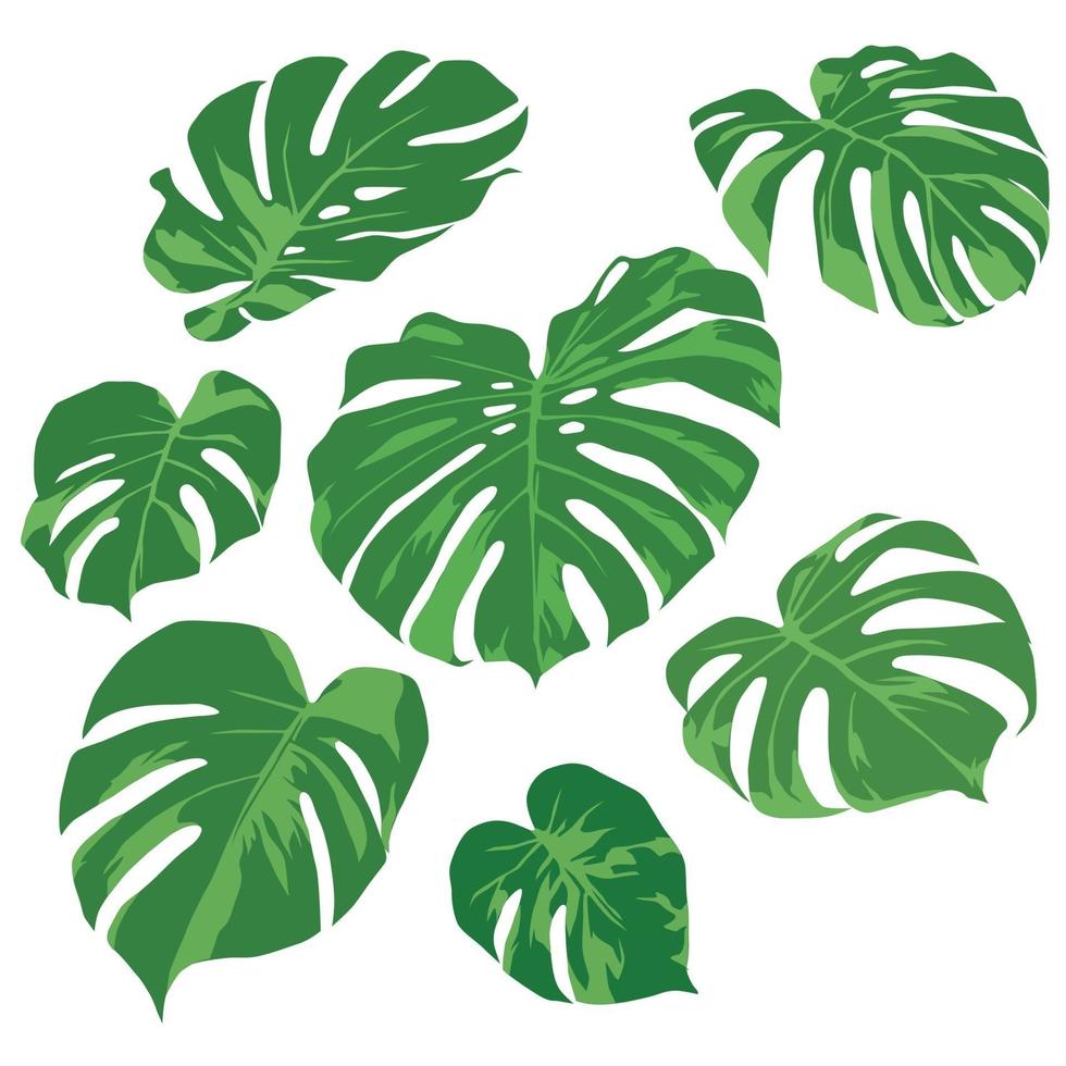 folhas verdes em vetor gráfico de ilustração