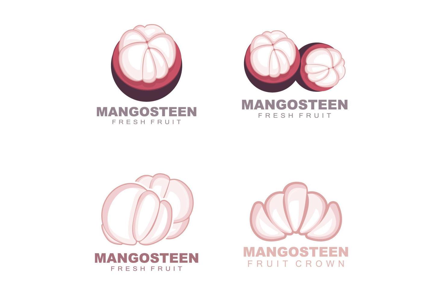 logotipo de mangostão, ilustração de carne de mangostão, rainha de frutas ricas em vitaminas, design de modelo de rótulo de vetor de logotipo de frutas