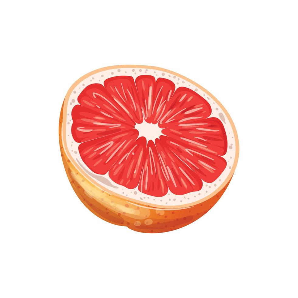 Toranja fruta cortar desenho animado vetor ilustração