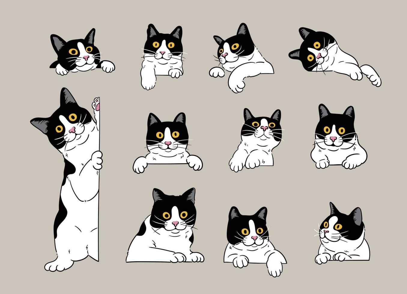 Espreitando fundo gato curioso — Ilustração de Stock