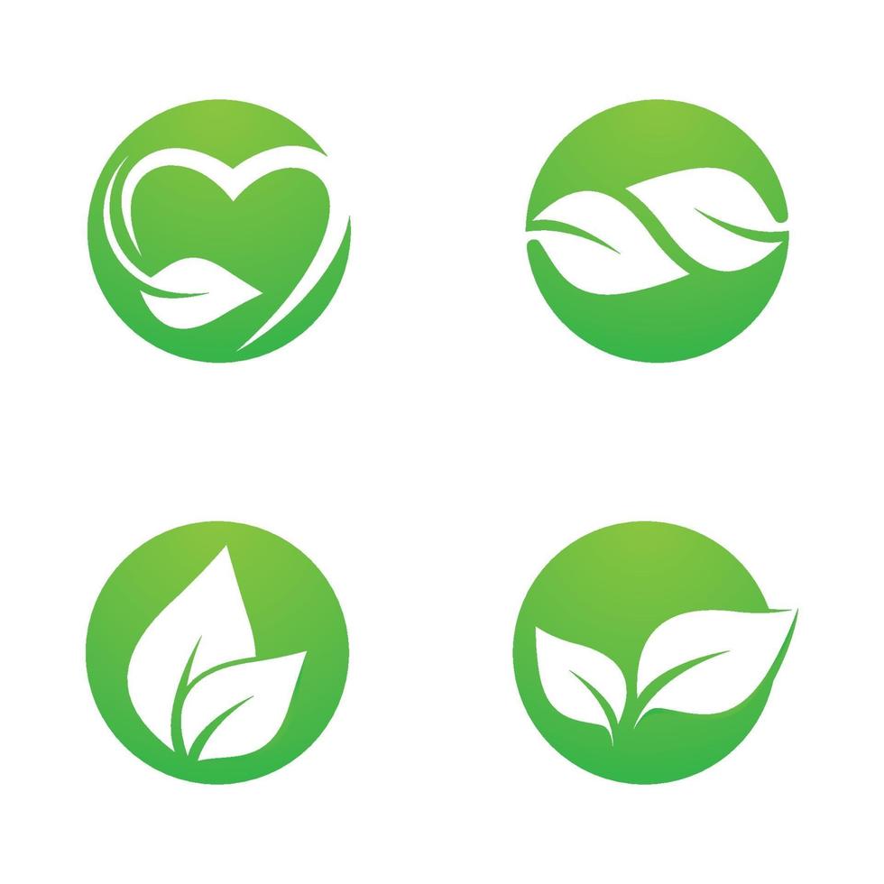 conjunto de imagens do logotipo da folha vetor