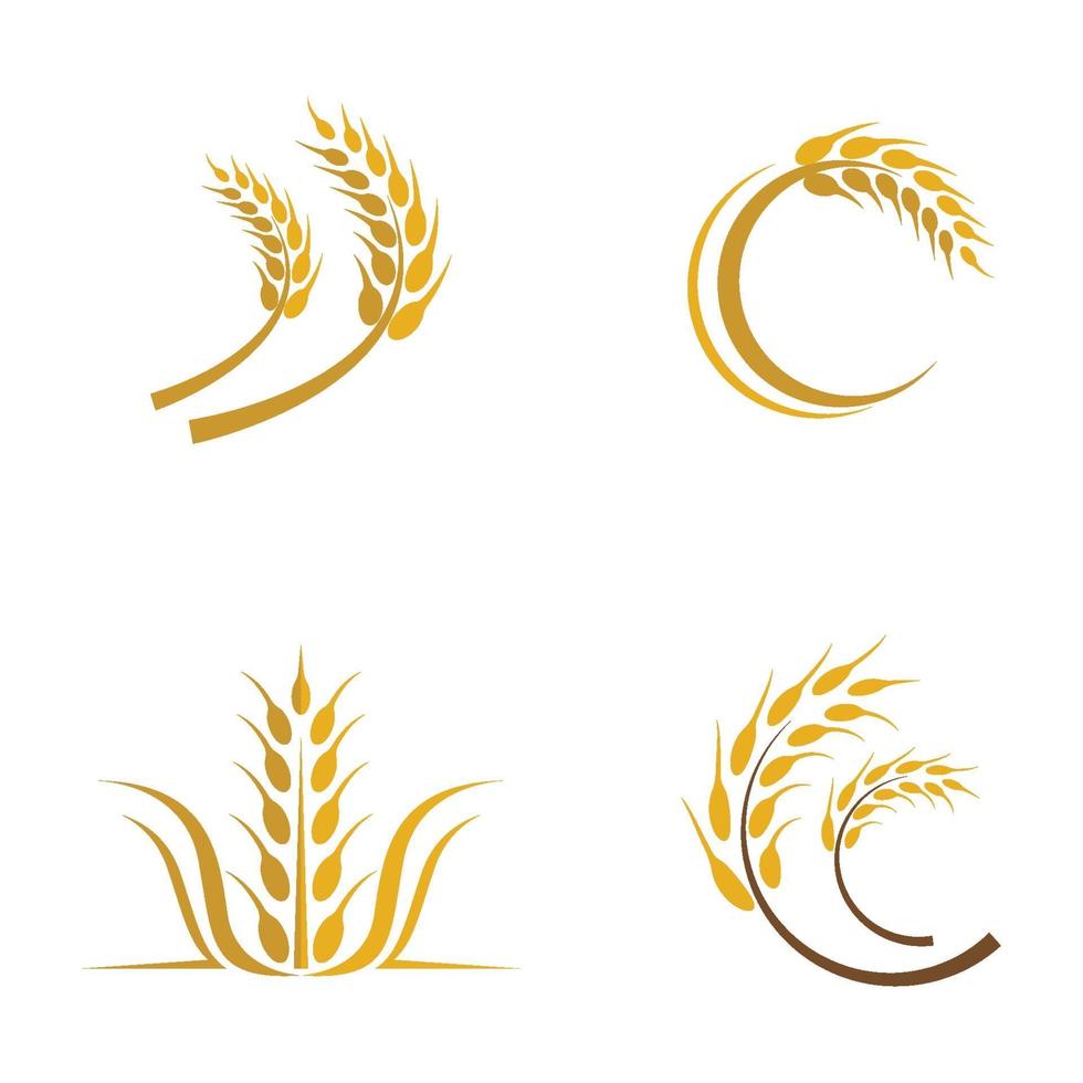 conjunto de imagens do logotipo da wheat vetor