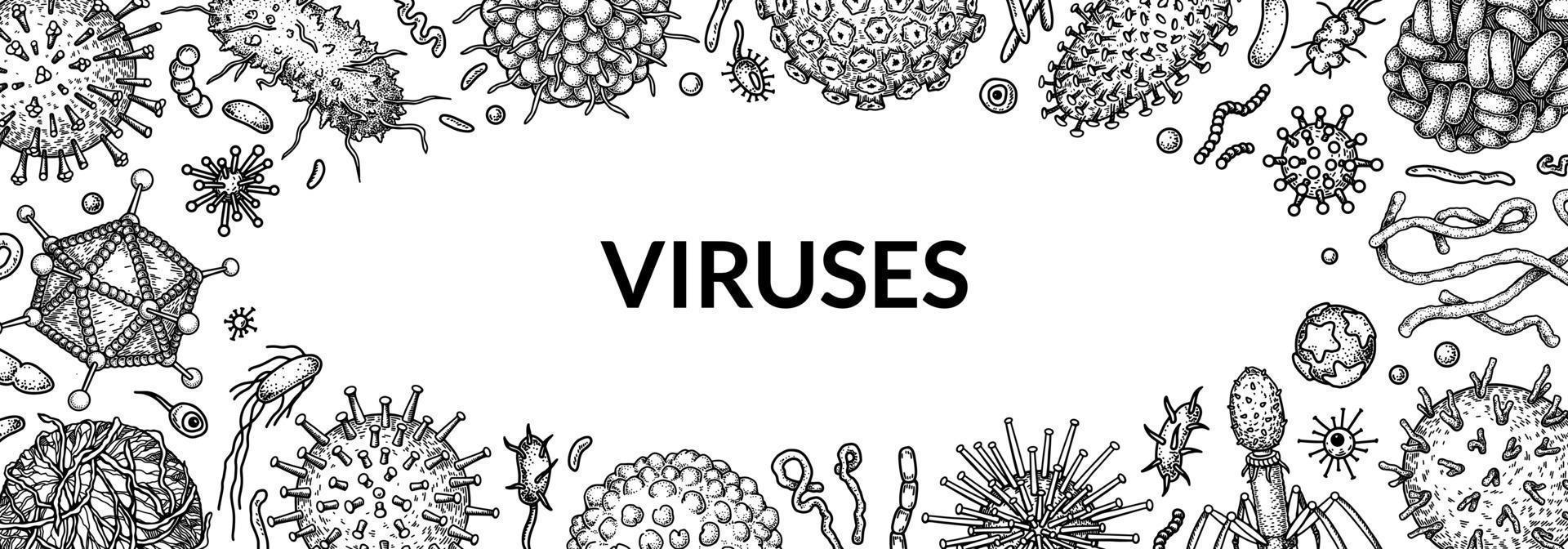 vírus horizontal fundo dentro esboço estilo. mão desenhado bactérias, germe, microrganismo. microbiologia científico Projeto. vetor ilustração dentro esboço estilo