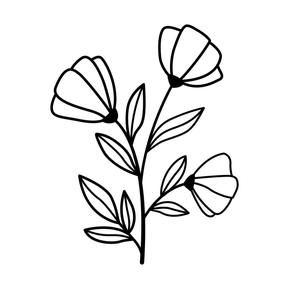 mão desenhado esboço flor isolado em branco fundo. simples rabisco estilo. vetor