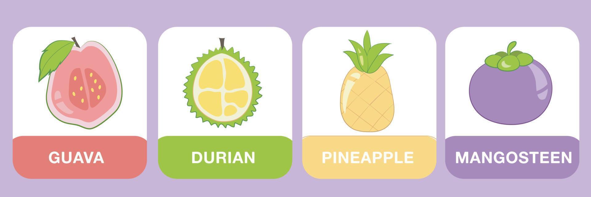 tropical frutas flashcards para crianças. fofa flashcards para crianças. pronto para imprimir. imprimível jogos cartões. educacional cartões para pré escola. vetor ilustração.