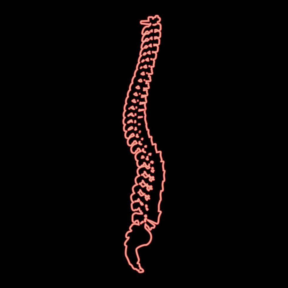 néon espinhal vertebral coluna coluna vertebral espinha dorsal vermelho cor vetor ilustração imagem plano estilo