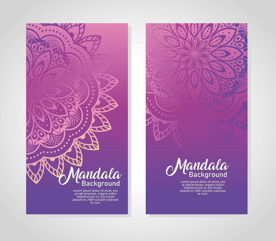 conjunto de fundo floral mandala vetor