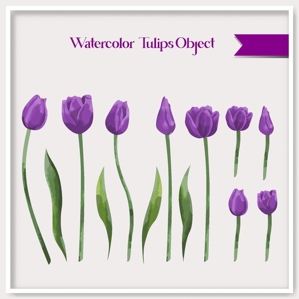 vetor aguarela tulipas objeto coleção
