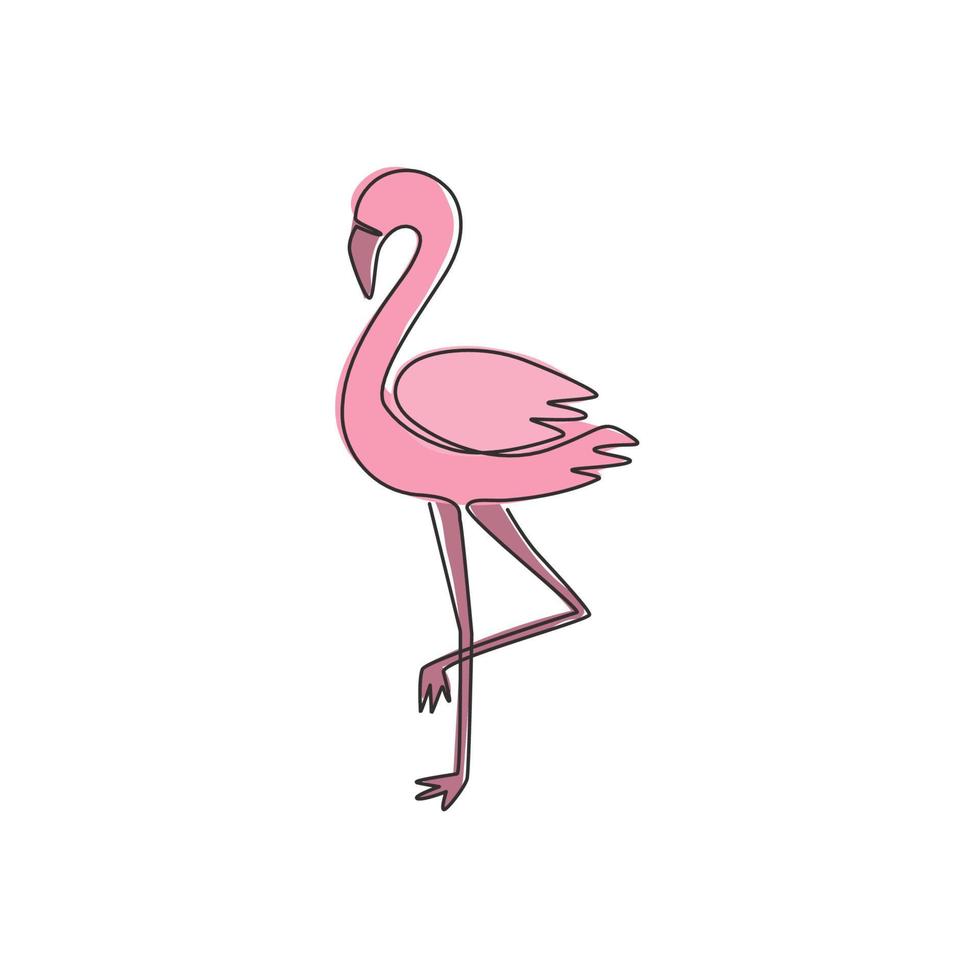 um desenho de linha contínua do flamingo da beleza para o zoológico de animais da cidade. conceito de mascote flamingo para parque de conservação de pássaros. ilustração gráfica moderna de desenho vetorial de linha única vetor