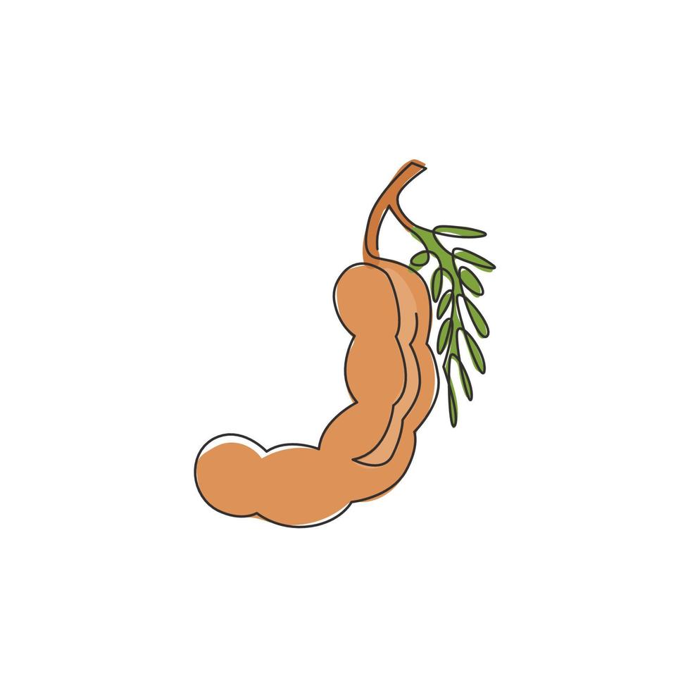 um único desenho de linha de tamarindo orgânico saudável inteiro para identidade do logotipo de pomar. conceito de fruta fresca para ícone de jardim de frutas. ilustração gráfica do vetor moderno desenho linha contínua