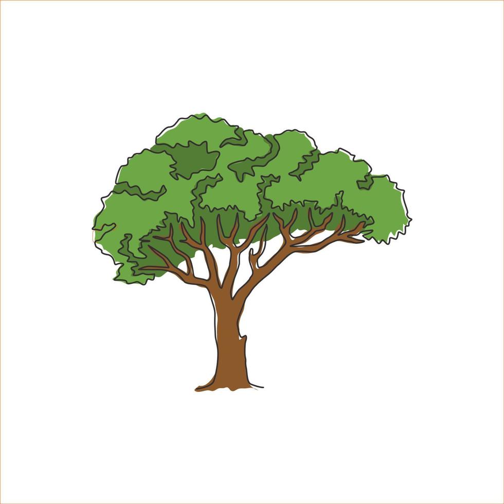 uma linha contínua de desenho de beleza árvore de marula para impressão de cartaz de arte de decoração de parede. planta de birrea sclerocarya para logotipo do parque nacional. turismo e conceito de viagens. ilustração em vetor desenho desenho de linha única