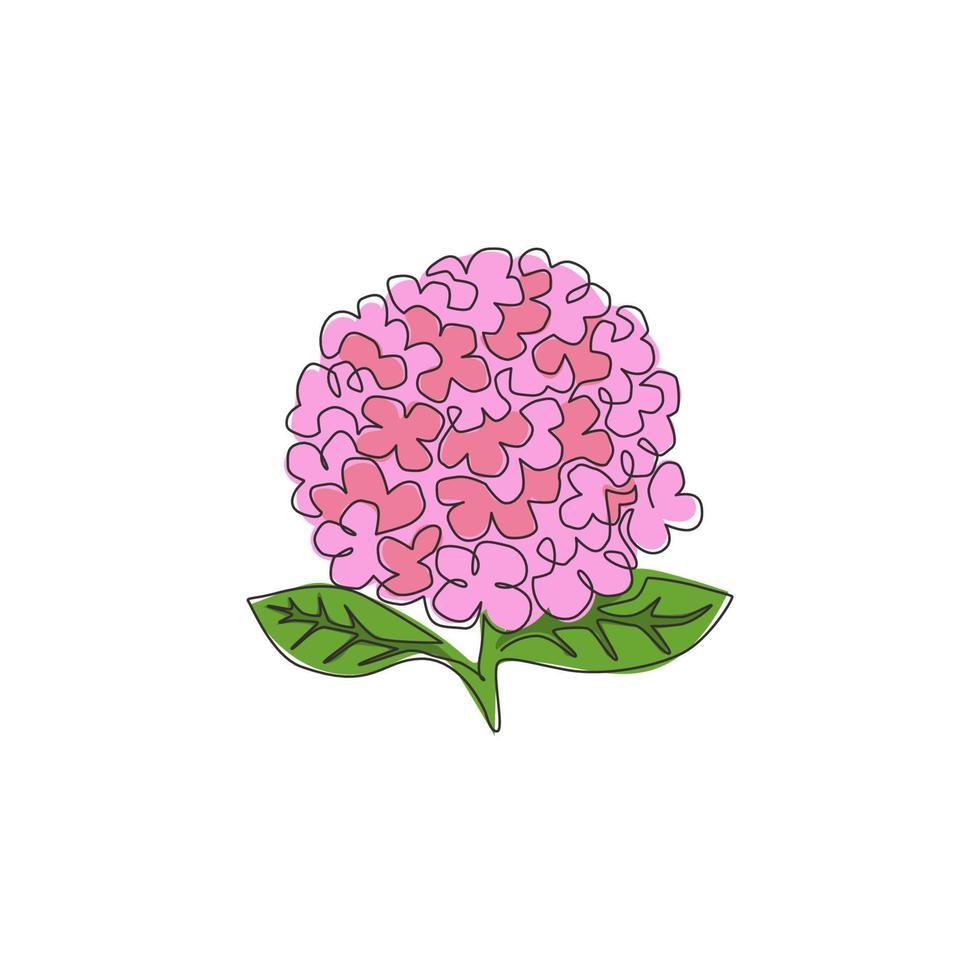 um desenho de linha contínuo de hortênsia fresca de beleza para impressão de pôster de decoração de parede de arte em casa. conceito de flor decorativa de hortensia para cartão de convite. ilustração em vetor desenho desenho de linha única na moda