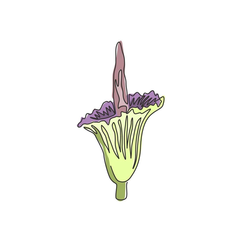 desenho de uma linha única beleza amorphophallus titanum fresco para decoração de parede de casa arte impressão de pôster. flor decorativa de titan arum para o parque nacional. ilustração em vetor desenho moderno linha contínua