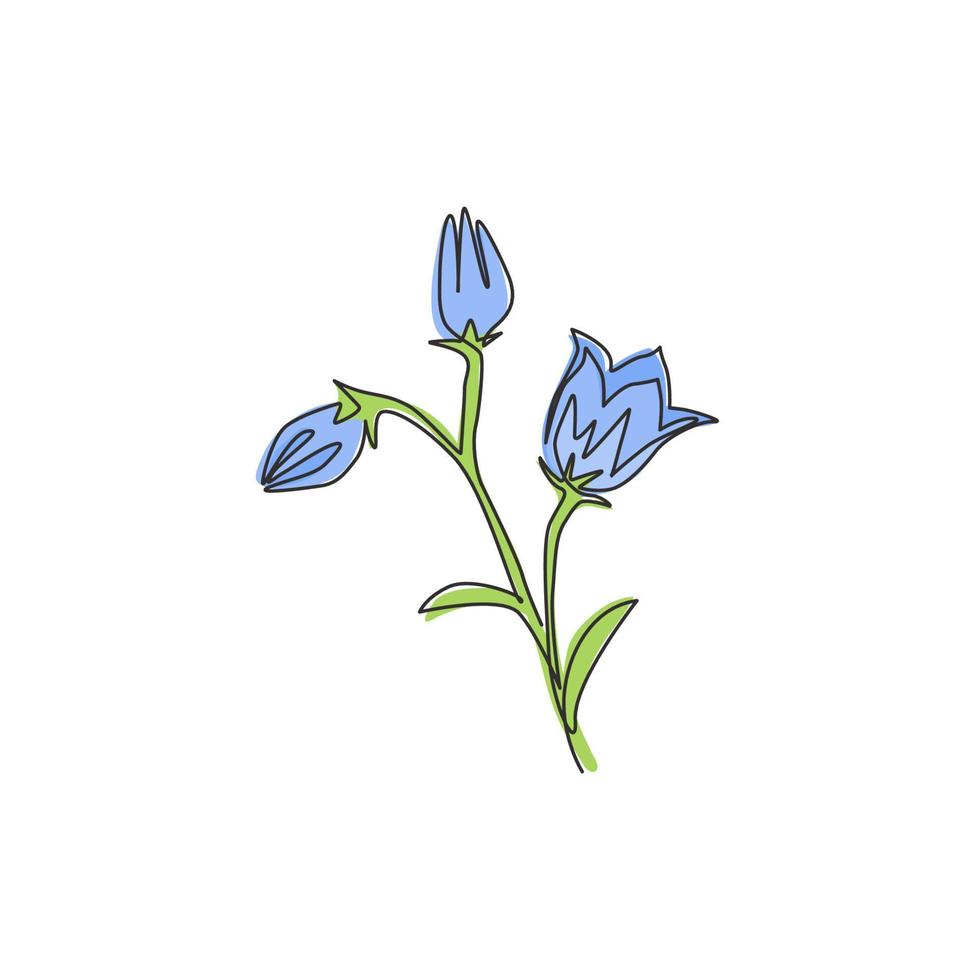 única linha contínua desenho beleza planta perenial fresca para home art decoração de parede impressão de pôster. flor bluebell decorativa para impressão para enfeite de cartão. ilustração em vetor moderno desenho de uma linha