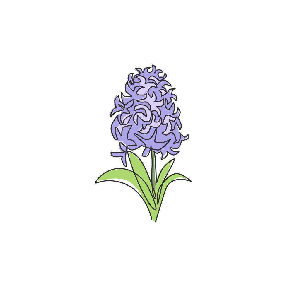um único desenho de linha do belo jacinto fresco para o logotipo do jardim. flor de jacinto decorativa imprimível para impressão de pôster de arte de parede de decoração de casa. ilustração em vetor desenho moderno linha contínua