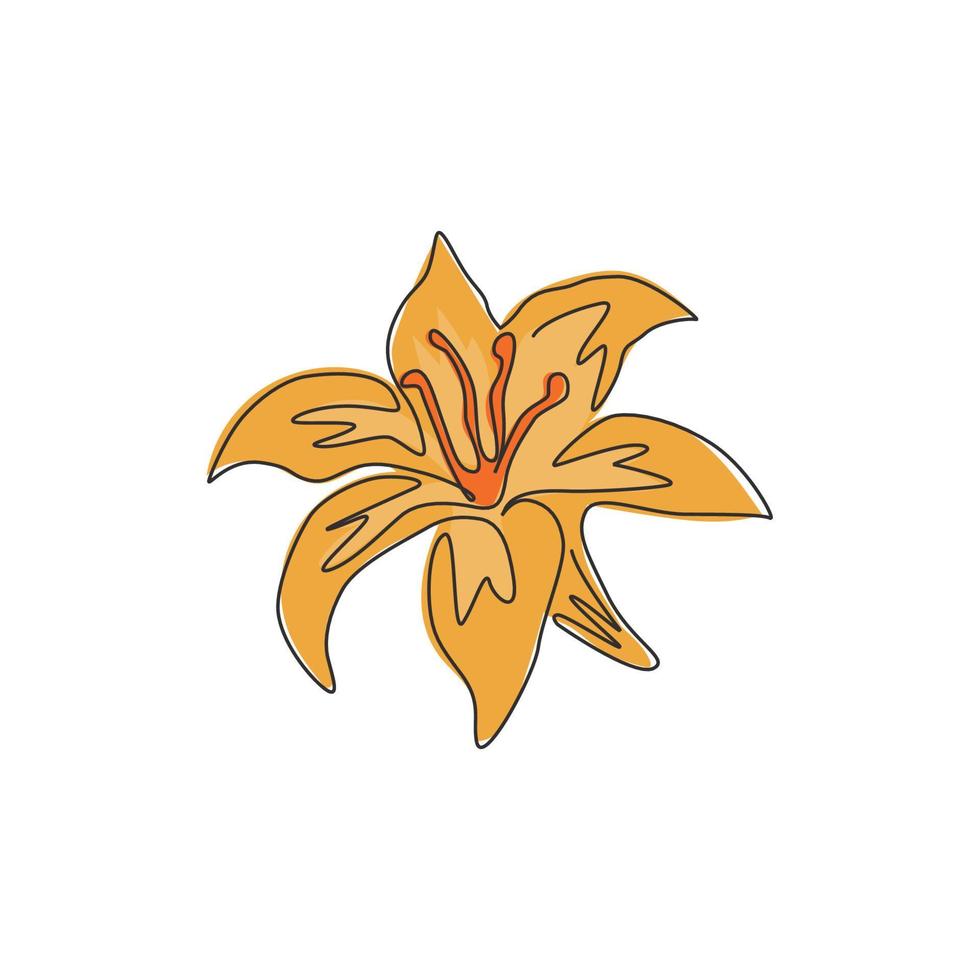 um desenho de linha contínua de lilium de plantas perenes frescas de beleza para o logotipo do jardim. flor de lírios verdadeiros decorativos para impressão para cartaz de decoração de parede de casa. ilustração em vetor moderno desenho de linha única