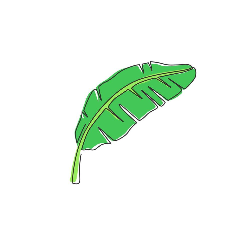 um único desenho de linha de uma planta tropical de folha de bananeira. conceito de planta de casa decorativa de pôster para impressão para ornamento de decoração de parede de casa. ilustração em vetor design gráfico moderno linha contínua