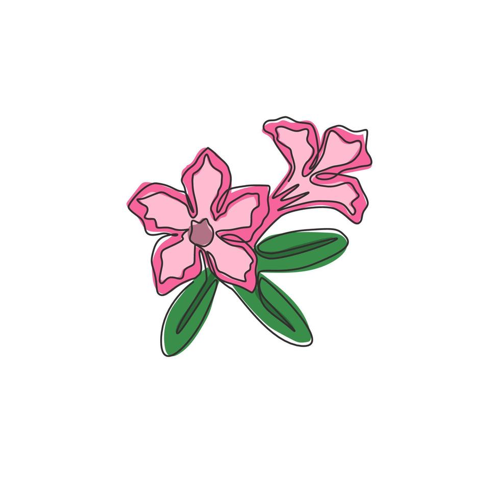 um desenho de linha contínuo de adenium de beleza fresca para logotipo de jardim. cartaz para impressão decorativo deserto rosa flores conceito casa decoração de parede. ilustração em vetor gráfico moderno desenho de linha única