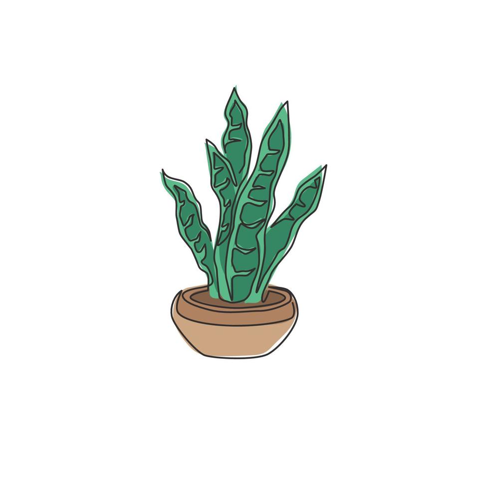 um desenho de linha contínua de uma planta de cobra em um vaso para a identidade do logotipo de decoração de casa. conceito de planta perene perene fresca para o ícone da planta. ilustração gráfica de vetor moderno desenho de linha única