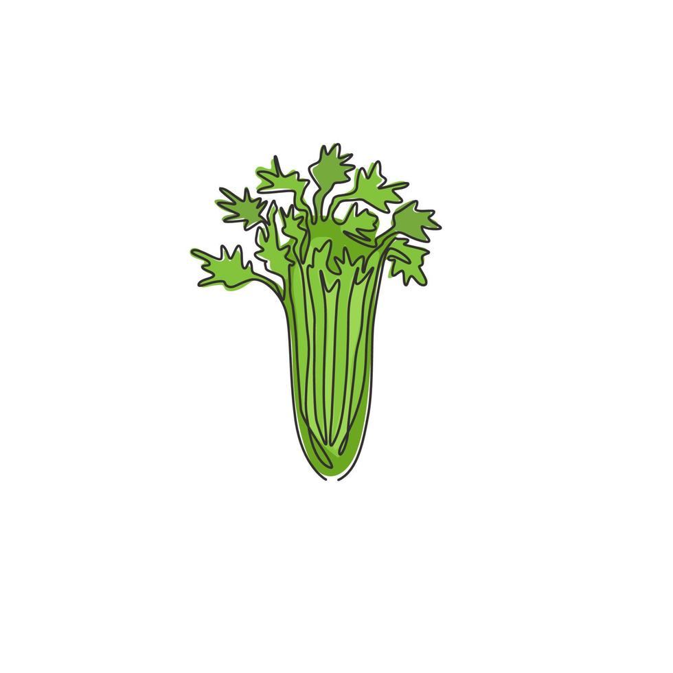 um desenho de linha contínua de aipo verde orgânico saudável para a identidade do logotipo da fazenda. conceito de planta de pântano fresco para ícone vegetal. ilustração gráfica de vetor moderno desenho de linha única