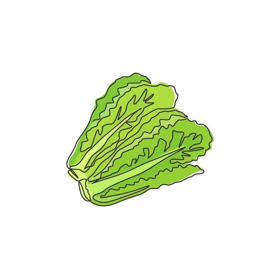 uma única linha desenhando folhas verdes orgânicas saudáveis de alface para a identidade do logotipo da fazenda. conceito de ingrediente de salada fresca para o ícone de vegetais. ilustração em vetor gráfico design moderno linha contínua