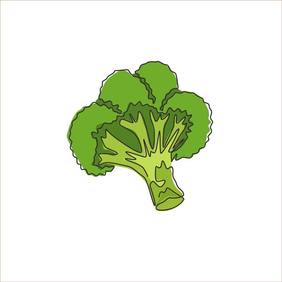 uma única linha desenhando brócolis verdes orgânicos inteiros e saudáveis para a identidade do logotipo da fazenda. conceito de planta verde comestível fresco para ícone vegetal. ilustração gráfica do vetor moderno desenho linha contínua