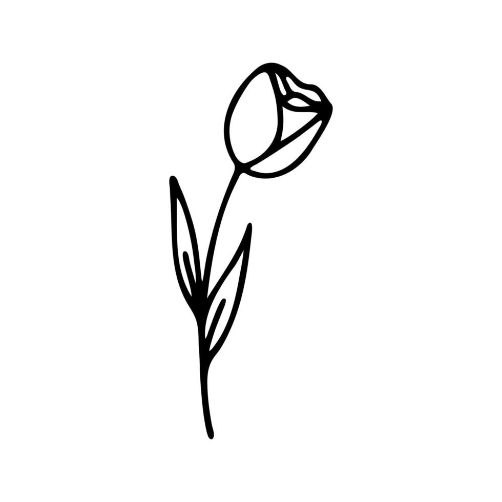 mão desenhado ervas, floral clipart. 1 linha rabisco vetor