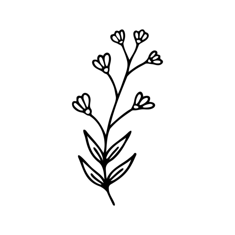 mão desenhado ervas, floral clipart. 1 linha rabisco vetor