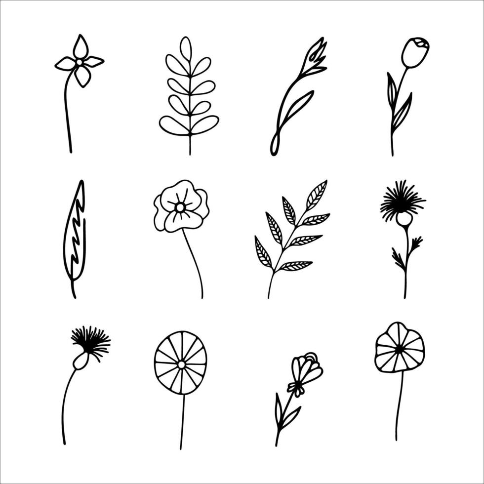 mão desenhado ervas, floral clipart coleção. 1 linha rabisco vetor conjunto