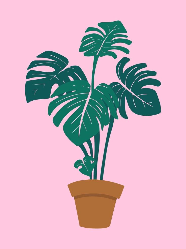 monstera em vaso de planta, ilustração vetorial em fundo rosa pastel vetor