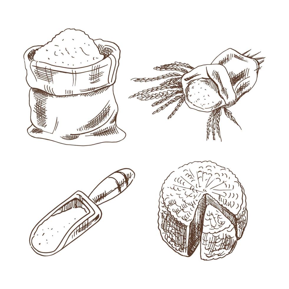 desenhado à mão produtos esboço definir. uma saco do farinha, espigas, uma concha, uma cabeça do queijo. vetor ilustração. Preto e branco vintage desenho.