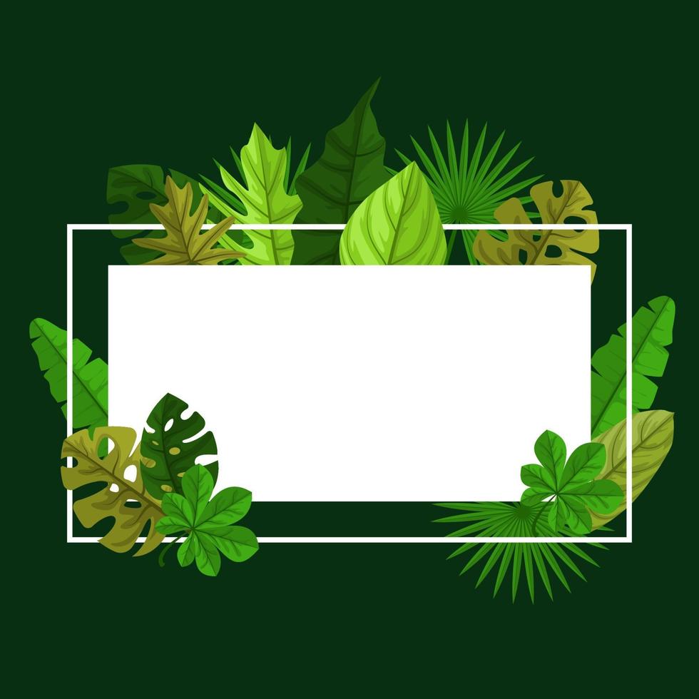 fundo de quadro tropical com folhas de monstera ao redor da borda vetor