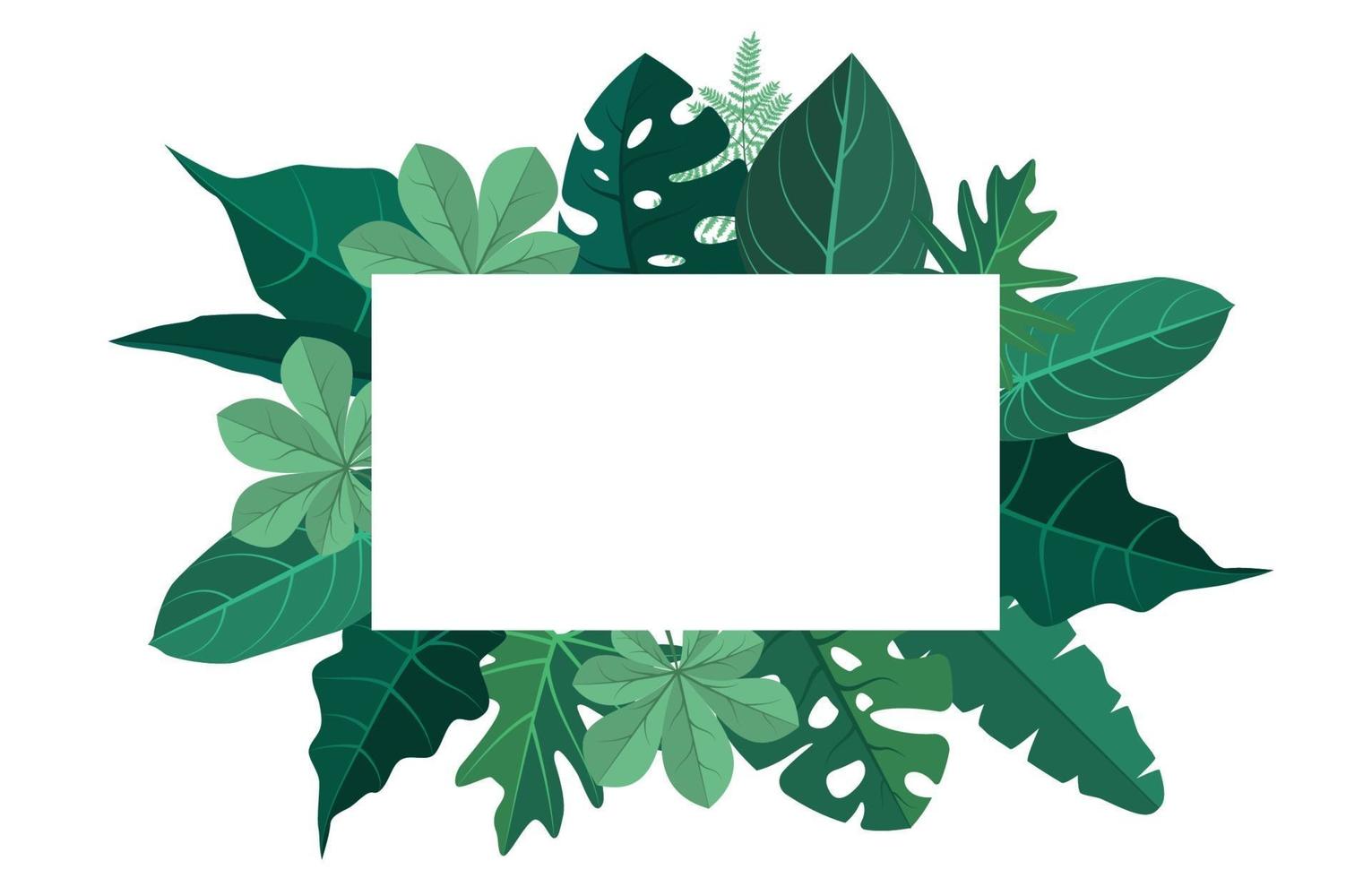 fundo de quadro tropical com folhas de monstera ao redor da borda vetor