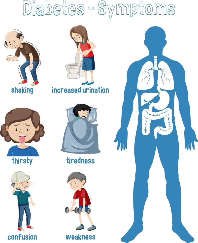 infográfico de informações de sintomas de diabetes vetor