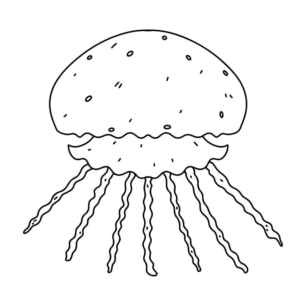 medusa dentro mão desenhado rabisco estilo. mar animal vetor ilustração. coloração página.