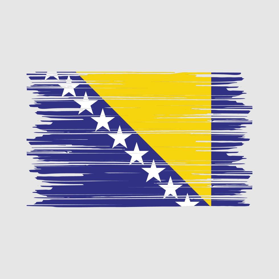 escova de bandeira da bósnia vetor