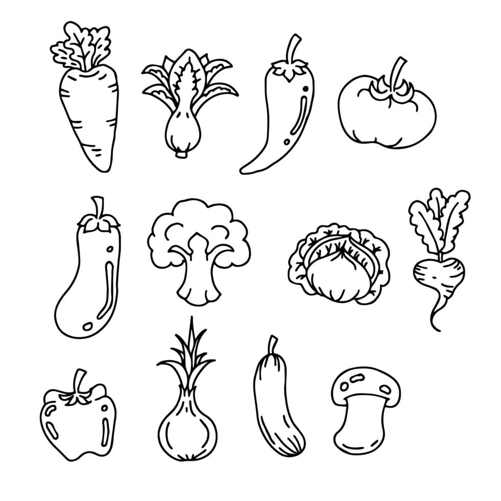 vetor esboço vegetal conjunto ilustração