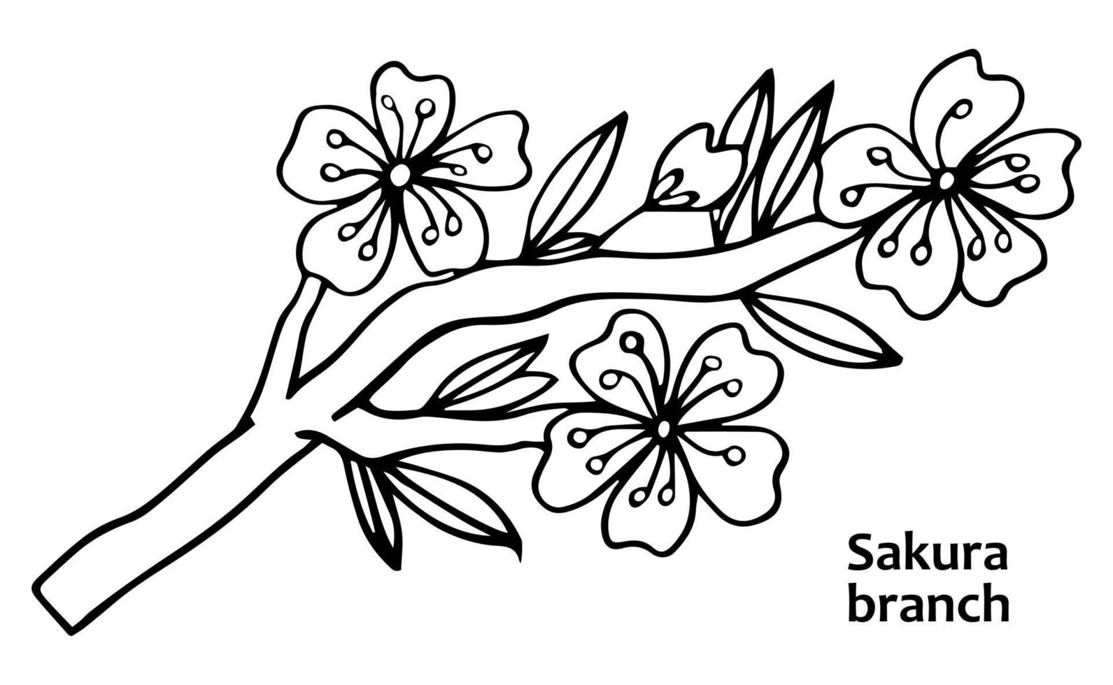 ícone de doodle de flor de sakura. linha traseira isolada em branco. desenho floral de contorno de uma linha.ilustração vetorial vetor