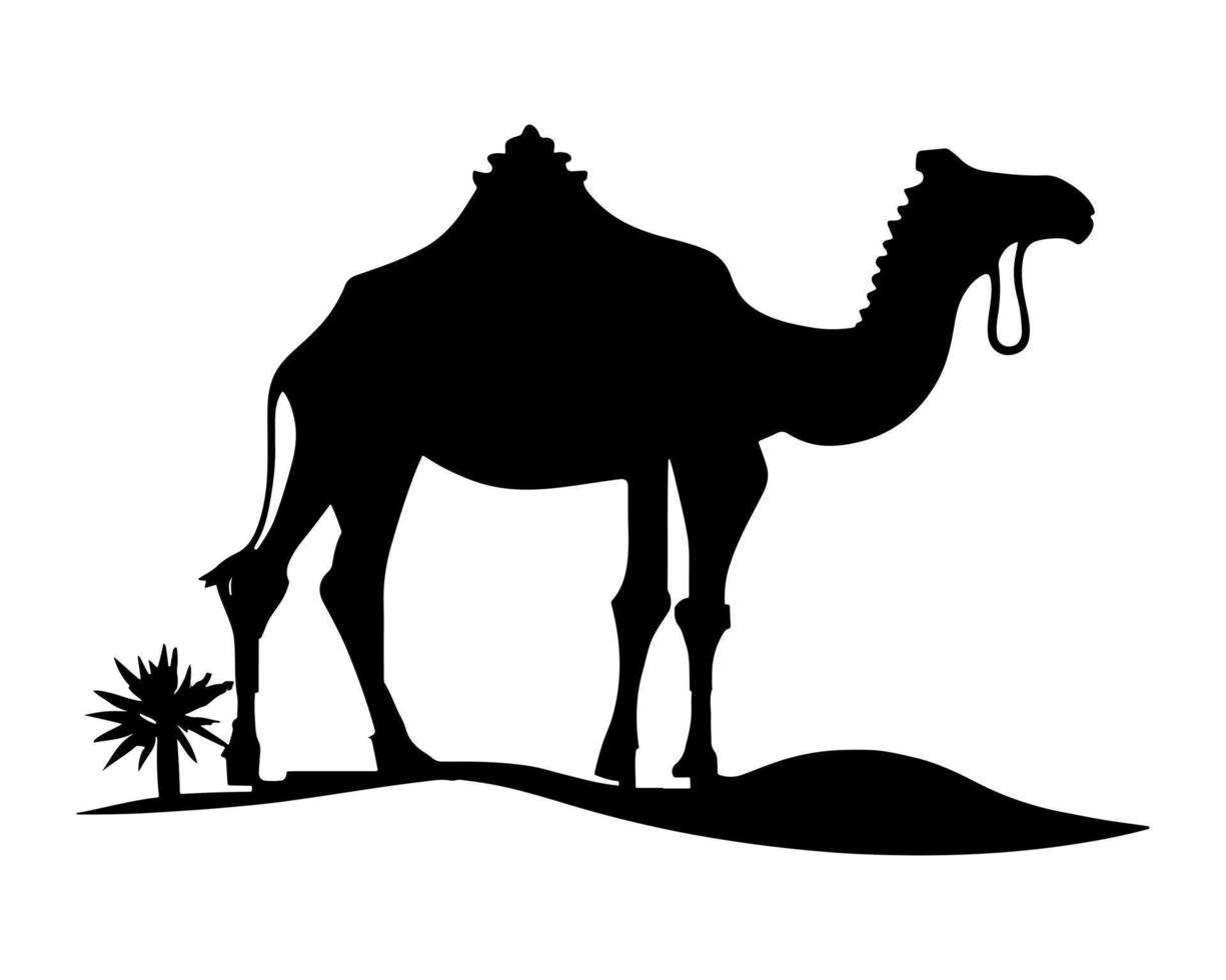 camelo silhueta Preto logotipo animais silhuetas ícones camelo cavaleiros deserto Palma silhueta vetor ilustração