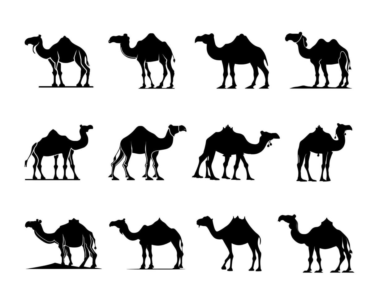 camelo silhueta conjunto Preto logotipo animais silhuetas ícones camelo cavaleiros deserto Palma silhueta vetor ilustração