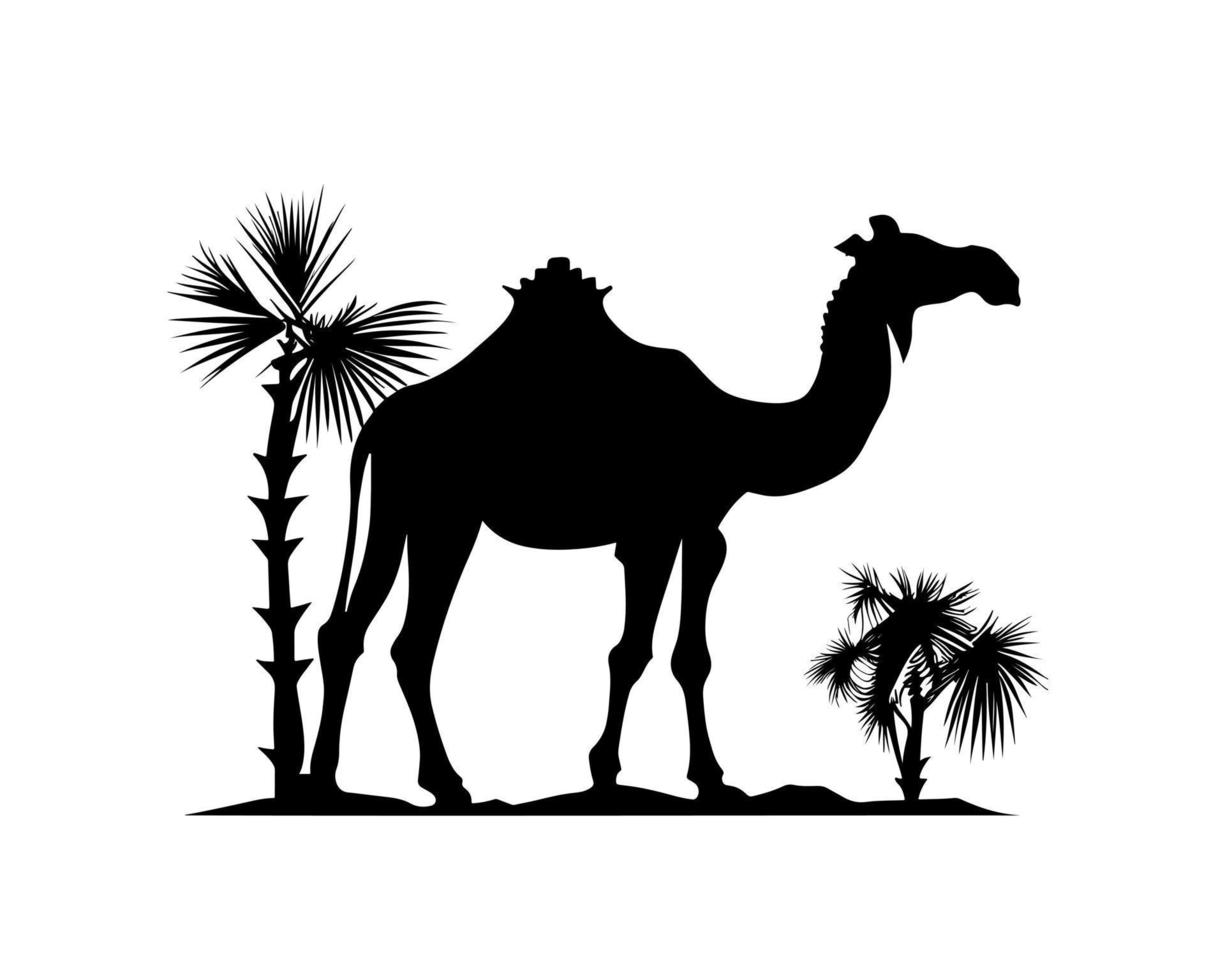 camelo silhueta Preto logotipo animais silhuetas ícones camelo cavaleiros deserto Palma silhueta vetor ilustração